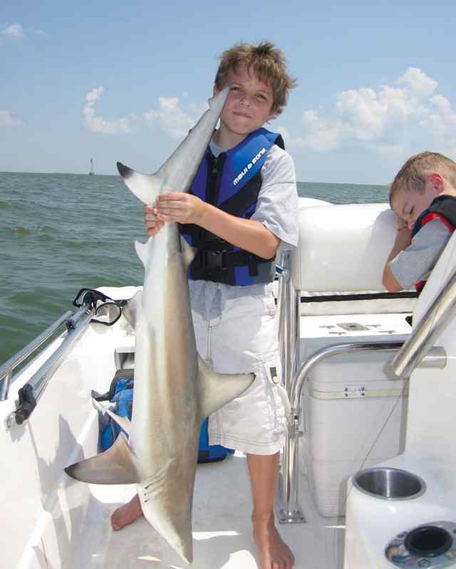 Connor Adams Matagorda Bayblack tip shark