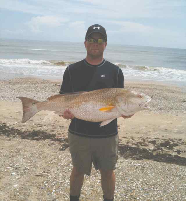 Adam Brockhan High Island41&quot; bull red