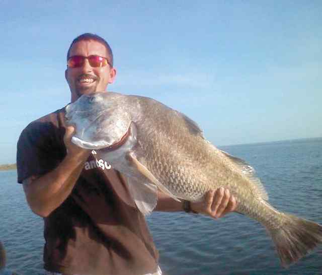 Cody Marcus San Luie Pass34&quot; drum