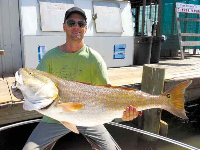 Bill Davenport POC ship channel

42&quot; 32lb red