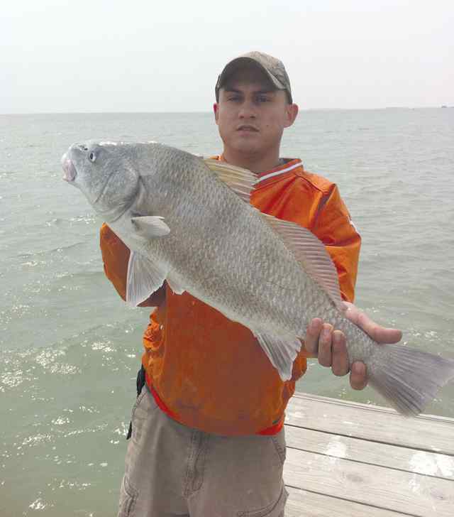 Roman Gonzalez Arroyo City28&quot; black drum