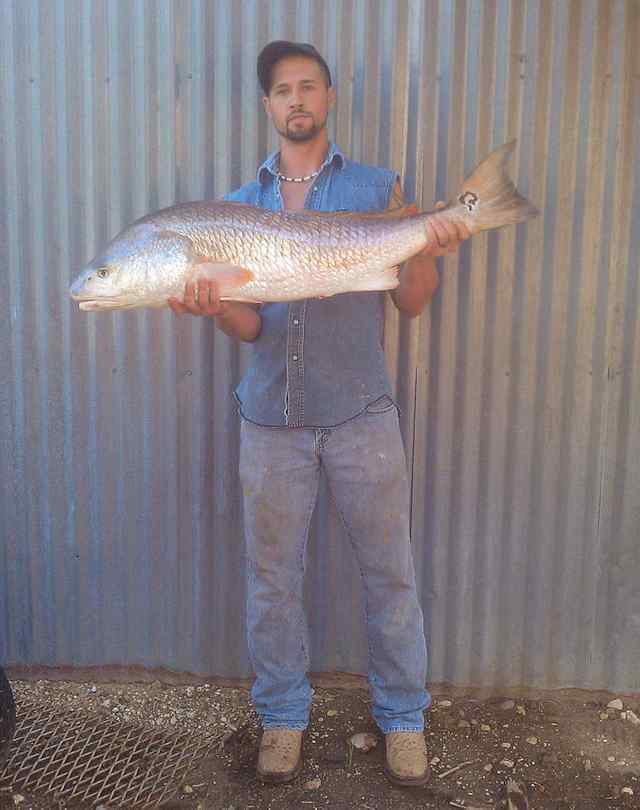 Lee Leonard Matagorda44&quot; redfish