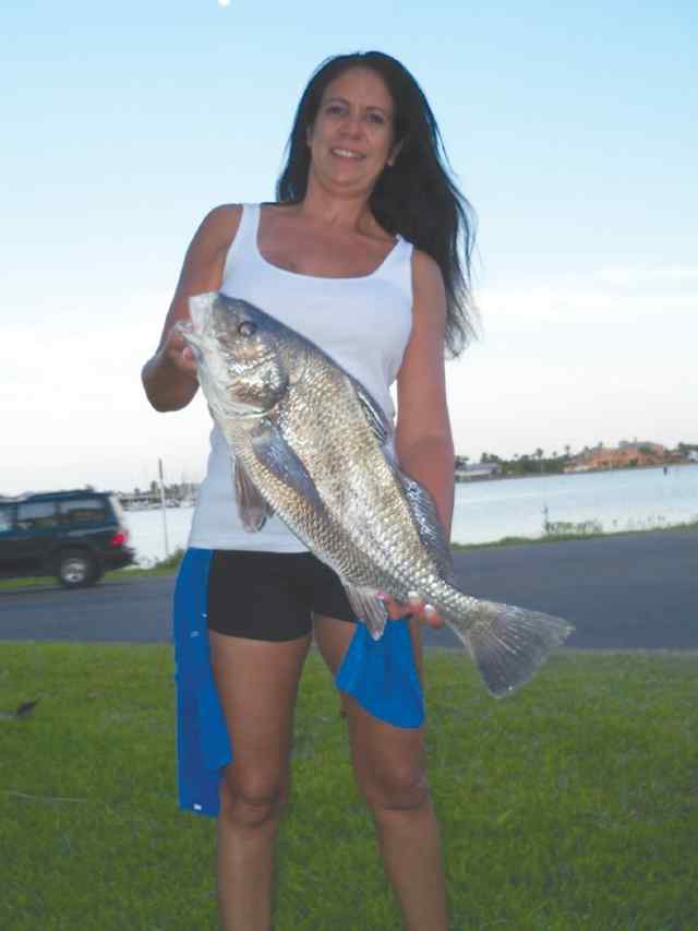 Margie Rockport9.5lb black drum