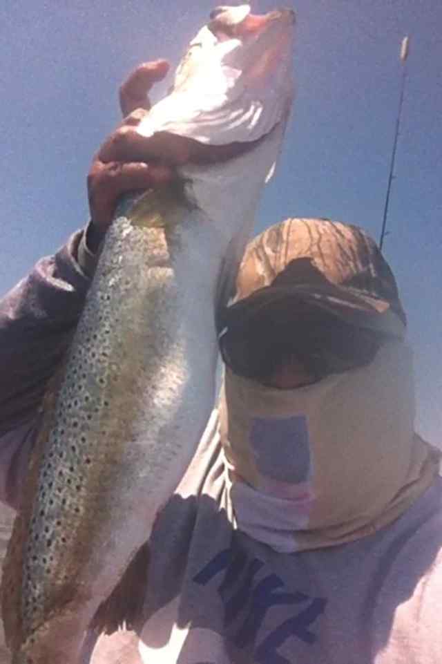 Rick Olivas Southbay, SPI26.75&quot; trout