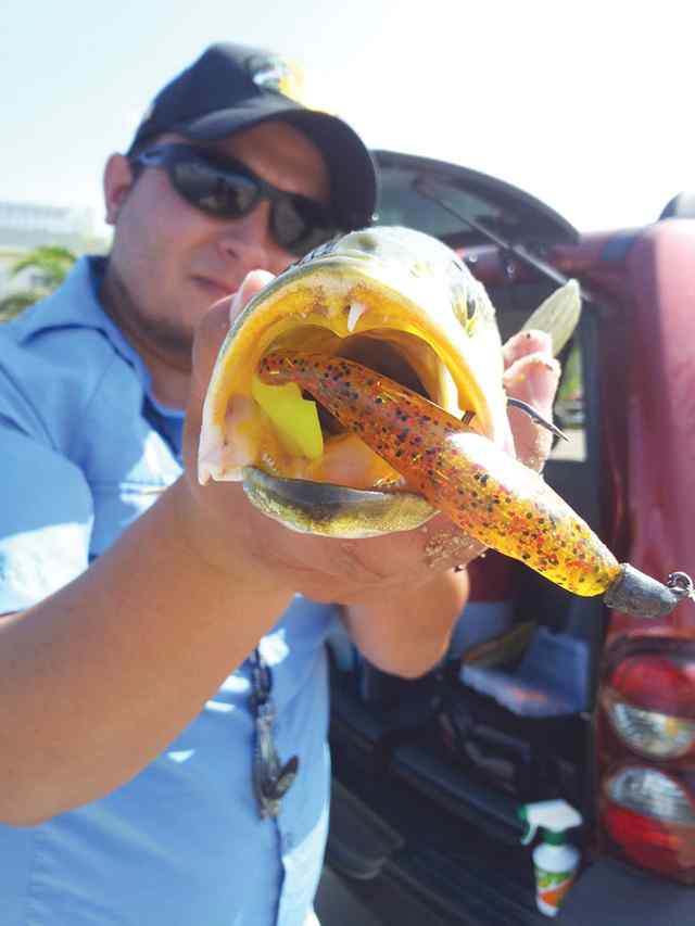 Brian Lopez Port Mansfield22&quot; speck CPR