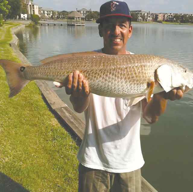 Tony Galvestonbull red