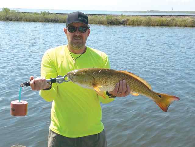 Scott Thornhill Bayou Vista8.5 lb redfish