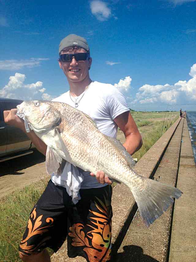 Michael Yaws II Port Arthur38&quot; black drum