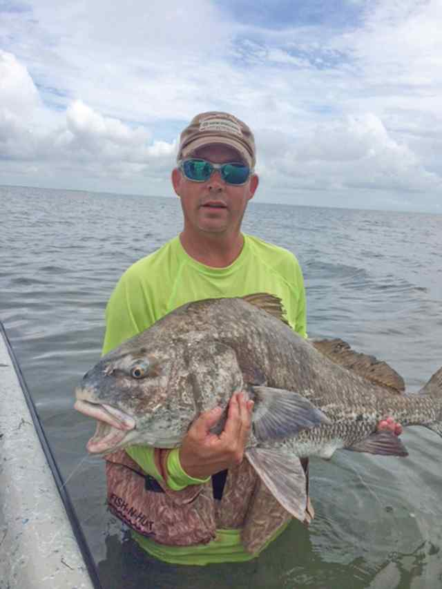 Cougar Moats Wading in Port O'Connorbig drum