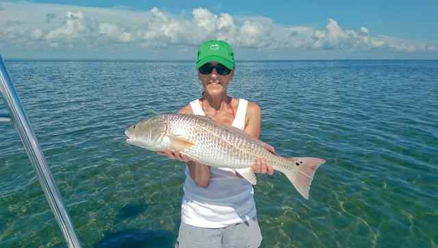 Kim Nagle South Padre Island28&quot; redfish