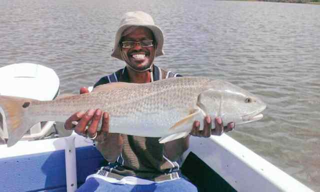 Curtis Thomas Chocolate Baybull red