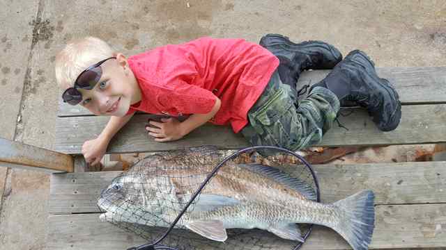 Nathan Alsobrook La Porte38&quot; drum, caught on live shrimp