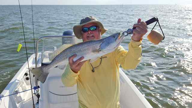 Matthew Holder East Bay26.5&quot; trout CPR