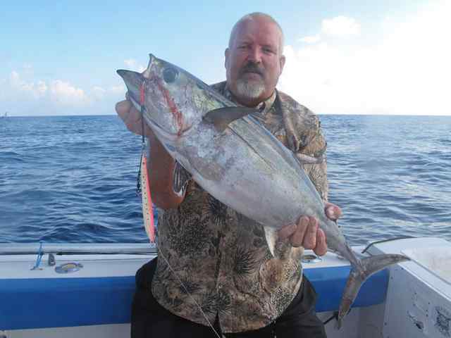 James Mcada Fish &amp; Fun IIblack fin tuna