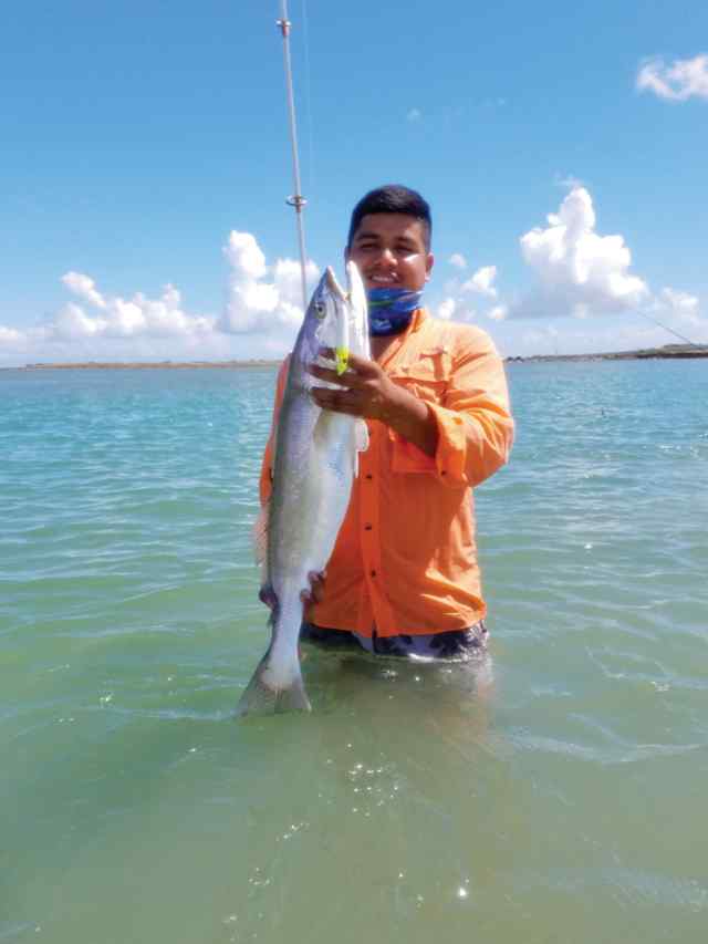 Rogelio Camero Port Isabel - 33" trout, caught on Rapala top water with a custom full stringer rod and Shimano Stella C3000