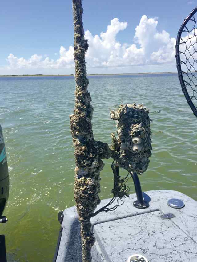 Richard Clark 5.5' Baffin Bay art