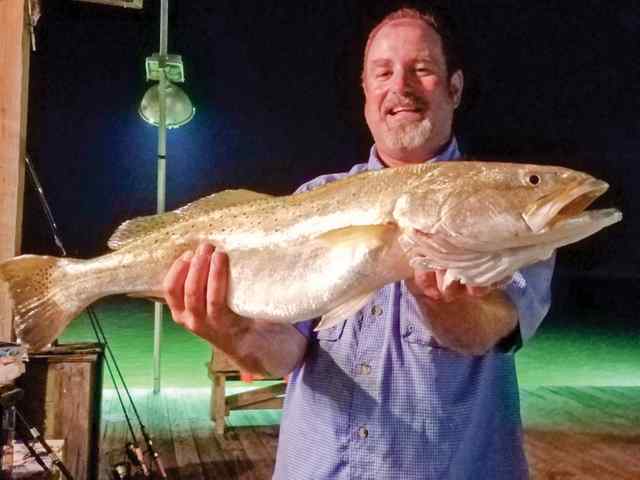 Mark Jackson 28.5" trout, caught under lights