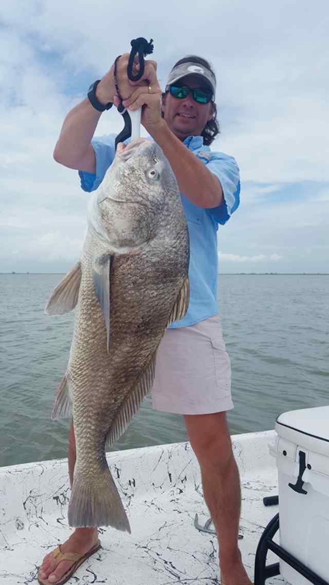 Craig Vance Hall's Lake, West Galveston Bay - 57 black drum CPR, caught in 16&quot; inches of water