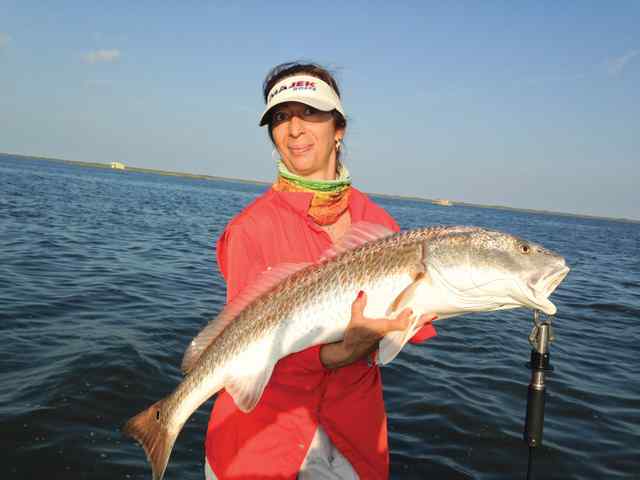 Sule Welpy Big Cove - 37" 18 lb redfish, caught on artifical soft lure