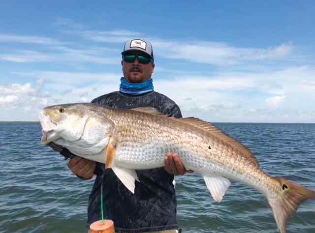 Chris Davis Laguna Madre - 42" 25 lb redfish