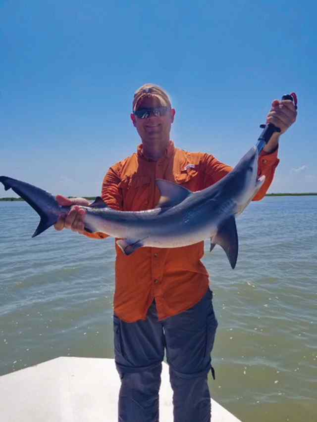 Jason Hallmark 36" blacktip shark