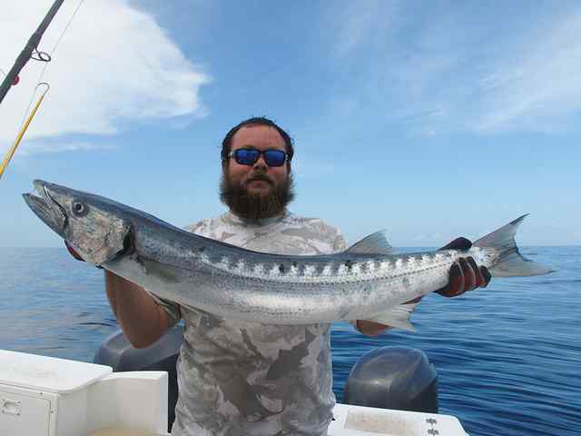 Ricky Torres A-42 Reef - barracuda CPR, caught on live mullet