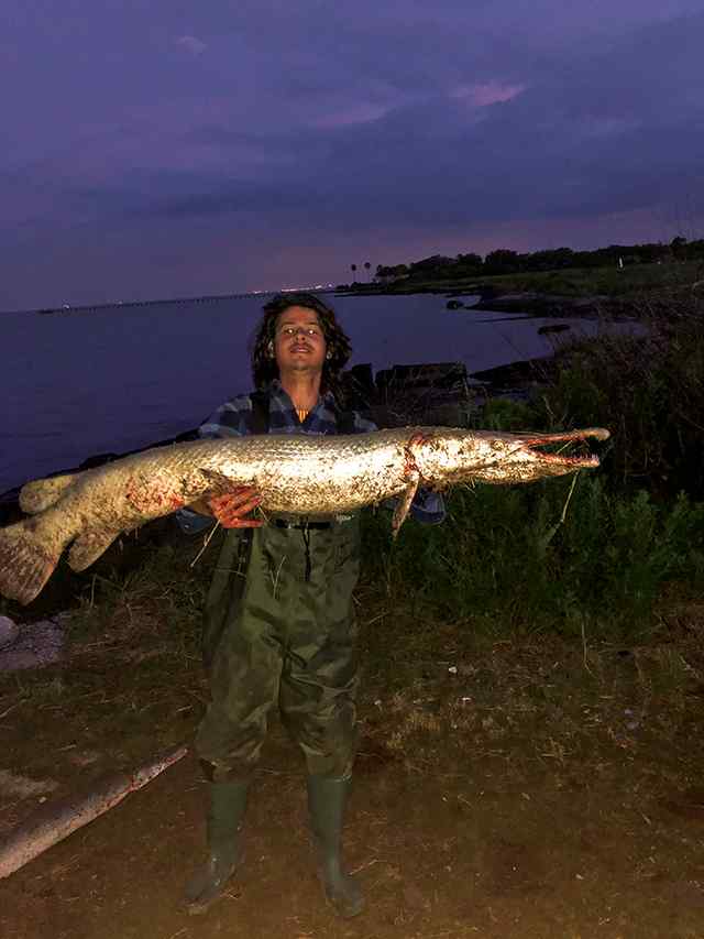 Juan Espada East Bay (next to Bolivar) - 5' 4" alligator gar