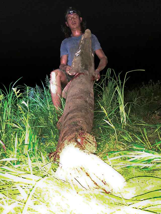 Juan E 6' 11" alligator gar CPR