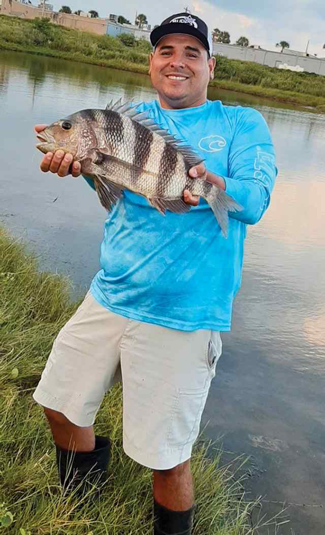 Phillip Rodriguez Jamaica Beach - 21.5" sheepshead