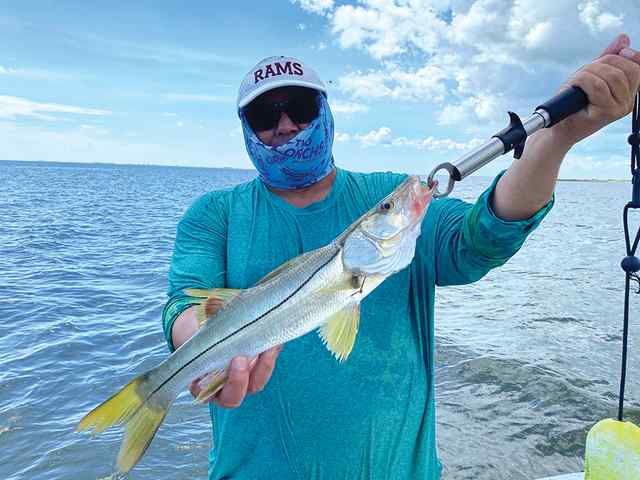 Roger Calandres snook CPR, caught on wake bait