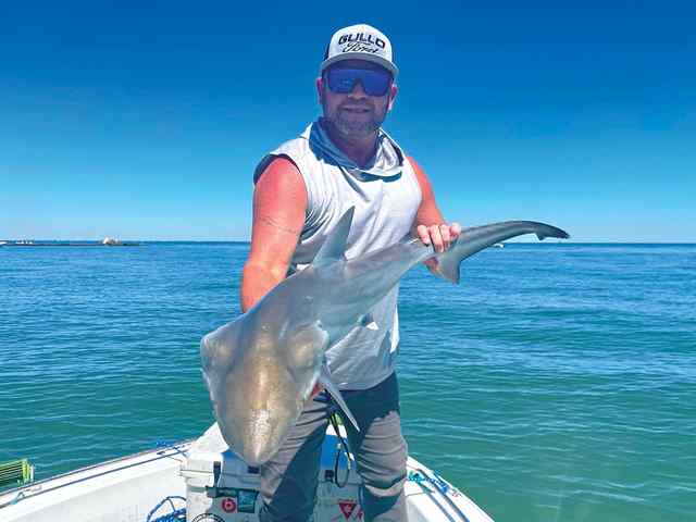 Joey Hagar Galveston South Jetty - shark