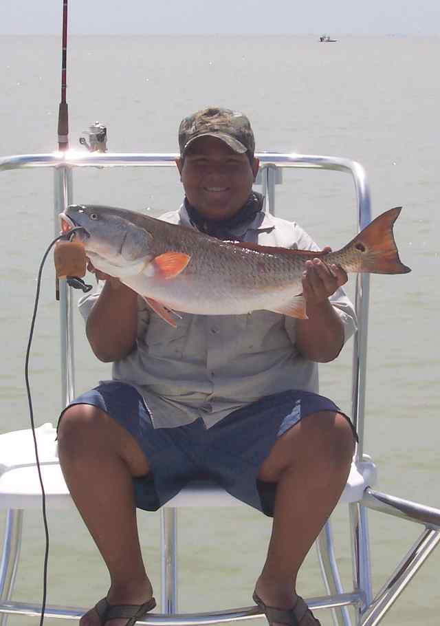 Coco DeLeon 31.5&quot; redfish enticed by a Berkley gulp