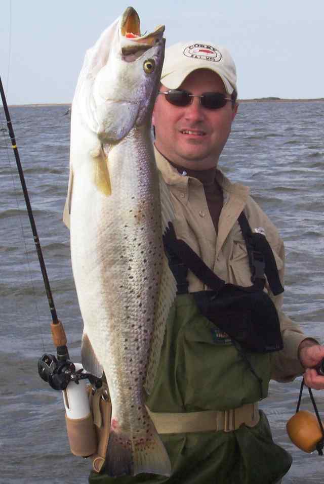 Joe Devine Corpus Christitrout CPR