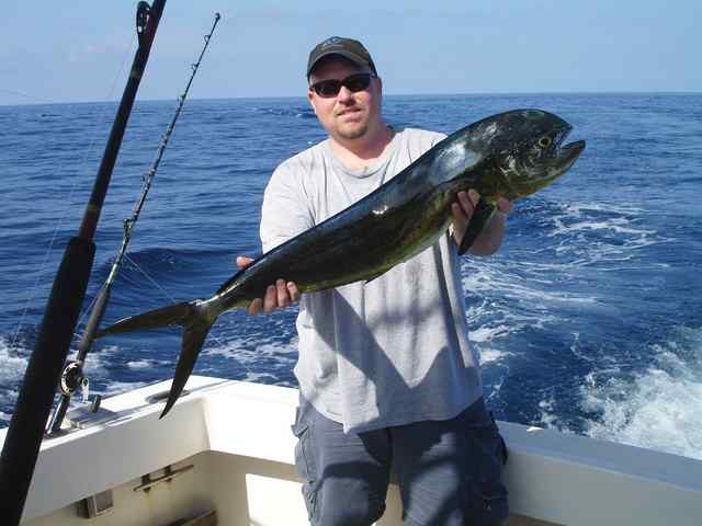 Keith Texter Costa Rica
  dorado