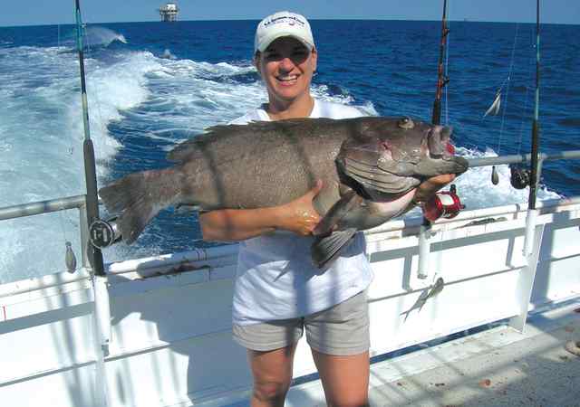 Shelby Seth-Griffith Shelby out-fished her new husband on their honeymoon when she boated this 37 lb Warsaw grouper.