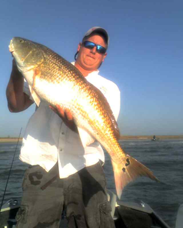 Dustin Gee Sargent40" bull red