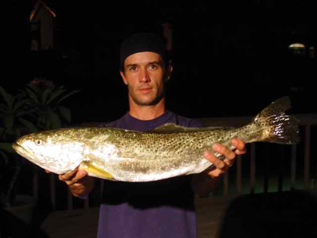Michael Power Padre Isles Canals27&quot; trout