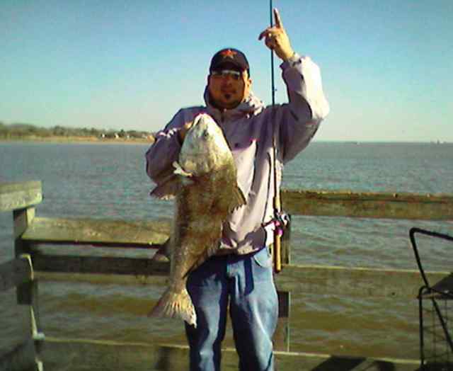 Robert Martinez drum CPR, estimated size over 30&quot;