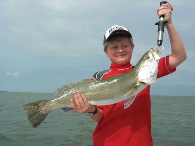 Wendell Leadfstedt Redfish Bay27.5&quot; trout