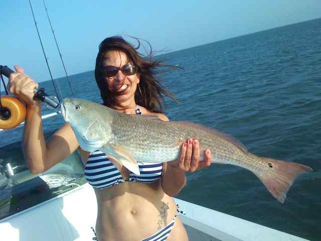 Yvette Morgan Grass Flats of the Lower Laguna Madre
  28&quot; redfish