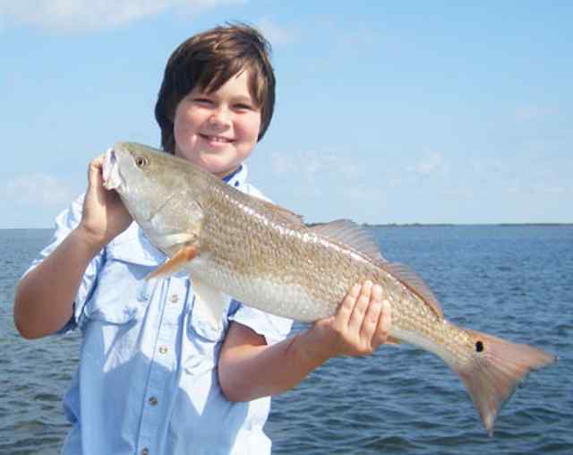 Bennett Carroll South Bay, Aransas
28" redfish
