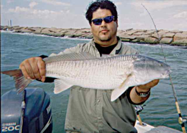 Salvador Arroyos redfish
