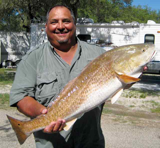 David Mcleod Portland43&quot; redfish