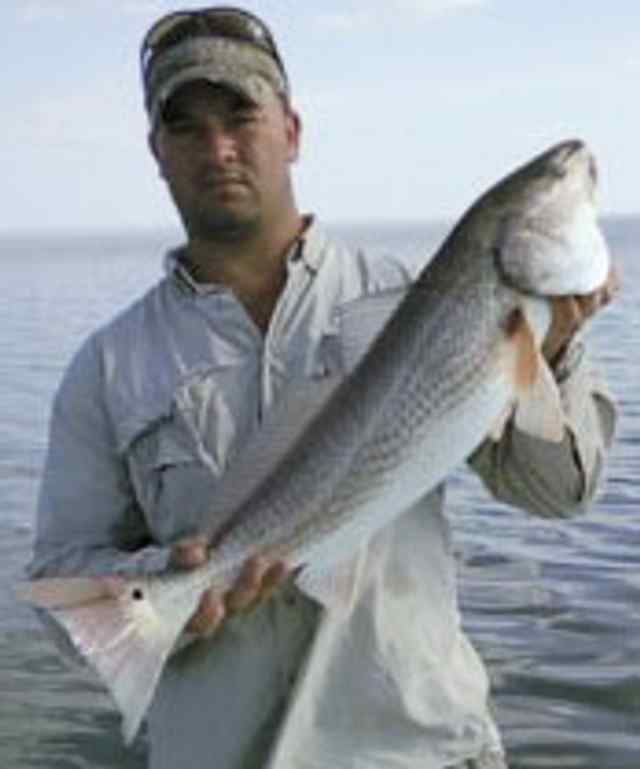 Paul Weaver Arroyo City
redfish