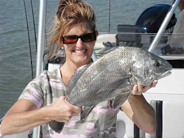 Carrie Kieschnick Copano Bay

21&quot; first keeper black drum!