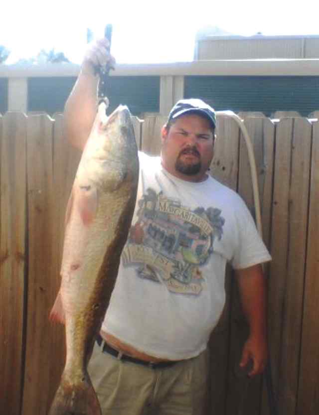 Troy Bollom Rollover Pass45&quot; first taggable red!