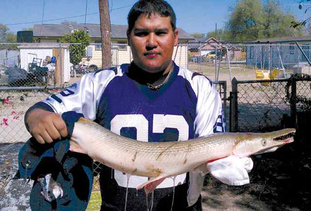Noe Guerra, Jr. Arroyo33&quot; alligator gar