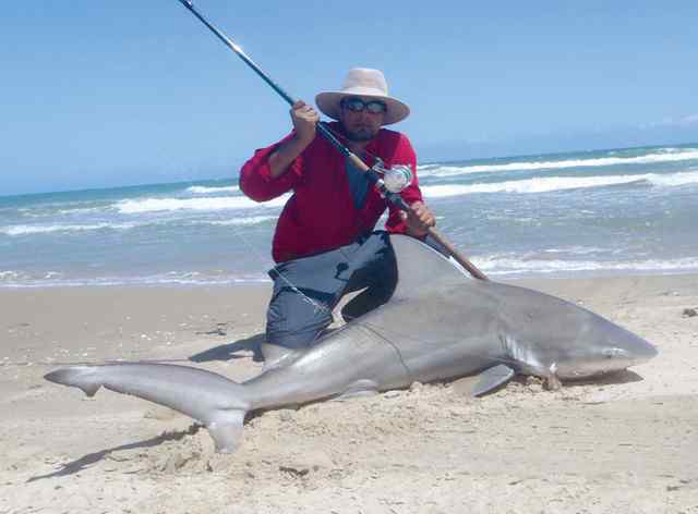 Raj Maharaj South Padre6' 1&quot; bull shark