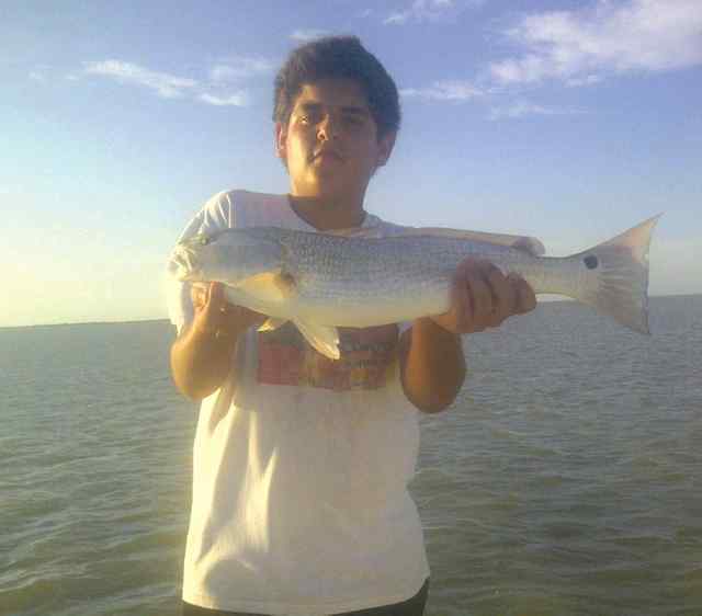 Christopher Thomae Arroyo City22&quot; red