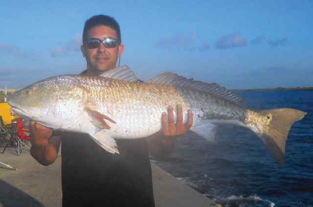Don Gonzales Port Aransas44.5&quot; 35lb bull red